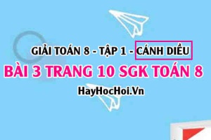 Giải bài 3 trang 10 Toán 8 Tập 1 SGK Cánh Diều